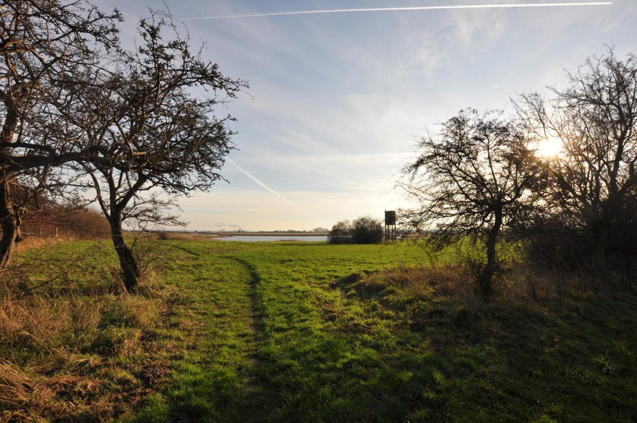 Emilias Hüs, Reethaus in der Bucht von Wismar Zierow Exterior foto