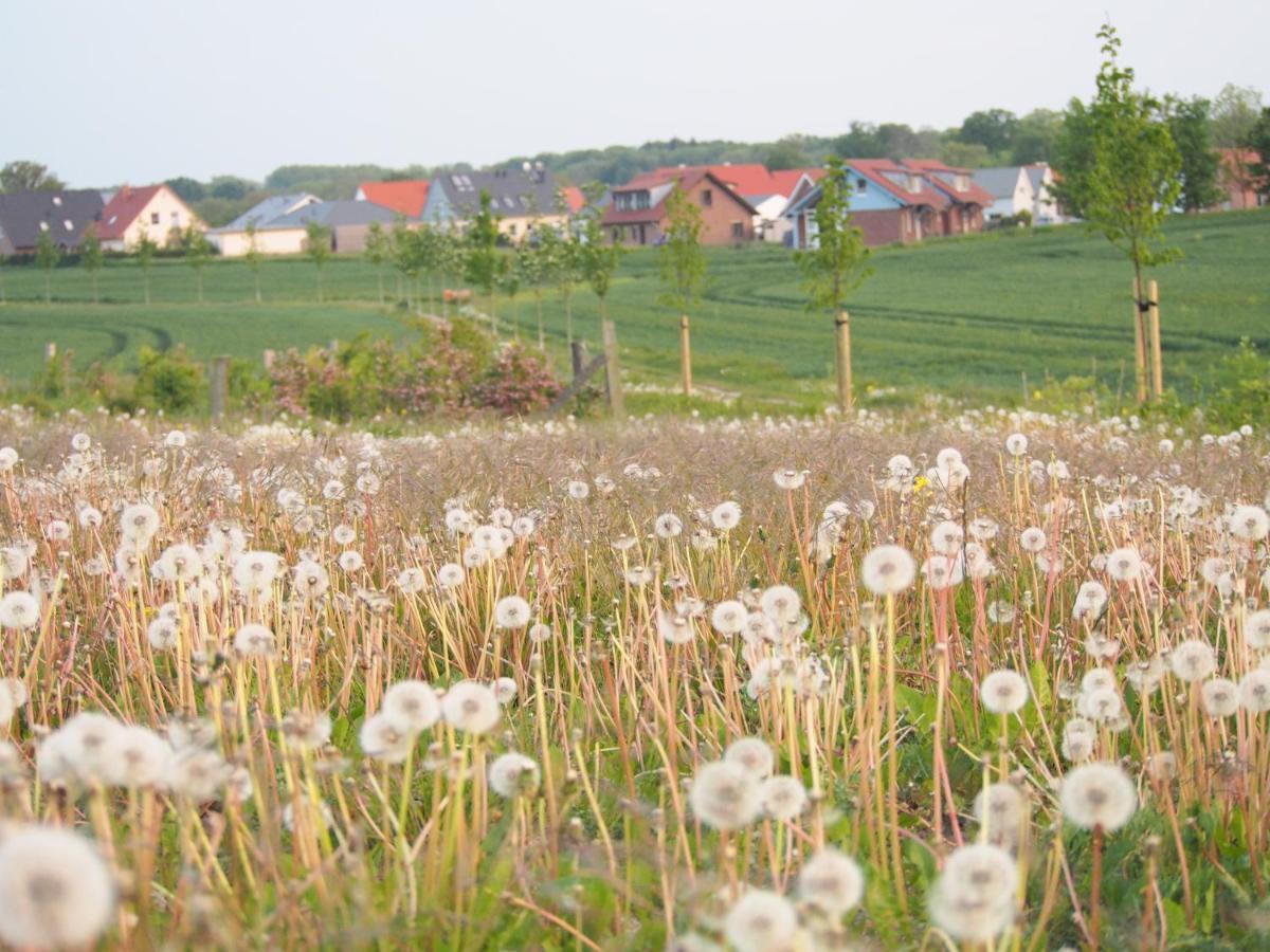 Emilias Hüs, Reethaus in der Bucht von Wismar Zierow Exterior foto